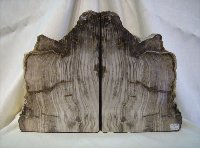 Cedar Petrified Wood Bookends