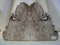 Larch Petrified Wood Bookends