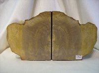 Cedar Petrified Wood Bookends