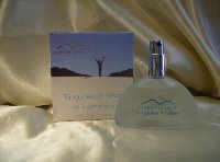 Turquoise  Silver Eau de Parfum Spray